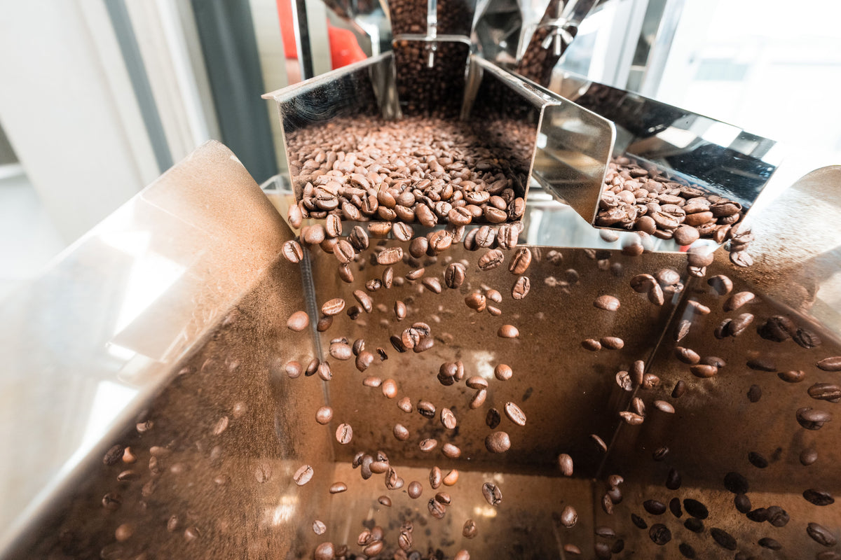 Frische Kaffeebohnen fallen in die Maschine